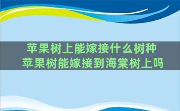 苹果树上能嫁接什么树种 苹果树能嫁接到海棠树上吗